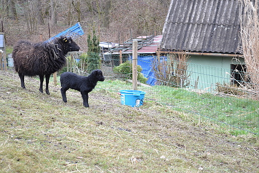 DSC_6615