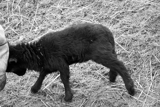 DSC_6569