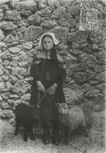 carte-fillette-mouton-ouessant.jpg